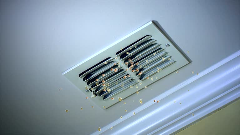 Best HVAC Air Duct Cleaning  in Thermalito, CA