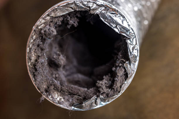 Best Air Duct Cleaning Company Near Me  in Thermalito, CA